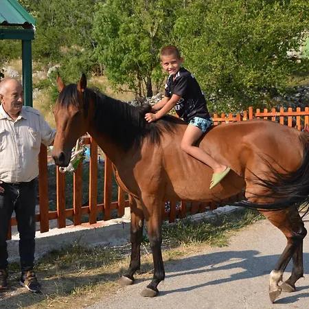 Campeggio Kamp Gradac - Domrke